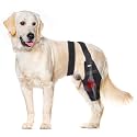 Dog Knee Brace for Back Leg Fit Large to Small Dogs Strong Support Adjustable Dog Leg Braces with 2 Metal Strips for Hip Dysplasia, ACL, CCL, Ligament Injuries & Osteoarthritis (Right Leg, 2XL)