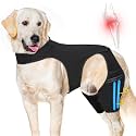 Dog Knee Brace for Back Leg Fit Extra Large Dogs Metal Splint Hinged Flexible Support Dog ACL Hip Brace with 2 Metal Strips for Hip Dysplasia, CCL, Ligament Injuries & Osteoarthritis (XL)