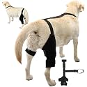 Dog Knee Brace Dog ACL Brace Hind Leg Dog ACL Knee Brace with Extra Collar and Support Treats Kneecap Dislocation Arthritis