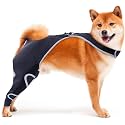 Dog Knee Brace for Torn ACL CCL Support Rear Leg Brace &amp; Anti Slip Harness