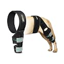 Dog Knee Brace for Torn ACL Hind Leg, Rear Leg Cruciate Ligament Braces for Dogs,Strong Support to Reduce Joint Pain and Muscle Sore, with Side Stabilizers for Back Leg Large