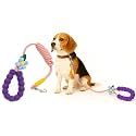 Dog Leash with Flower Charm | Soft Padded Beaded Leash | Comfortable Grip, Tangle-Free Walking Lead, Cute & Stylish Design for Pets | Durable and Safe | Walking and Training (Purple)