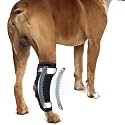 Dog Rear Leg Hock Ankle Brace