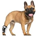 Dog Rear Leg Hock Ankle Brace