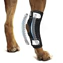 Dog Rear Leg Hock Ankle Brace