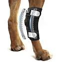 Dog Rear Leg Hock Ankle Brace