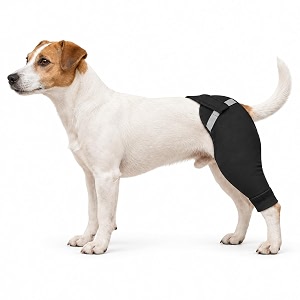 Dog Rear Leg Sleeve to Stop Licking