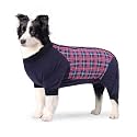 Dog Recovery Suit, Abdominal Wound After Surgery Wear, Anti Licking Bodysuit with Zipper, E-Collar &amp; Cone Alternatives, Plaid Dog Spay Surgical Onesie Prevent Shedding(2XL, Red)