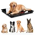 Dog Scale, 220lb Max / 0.01lb Accuracy Pet Scale, 25.6" x 17.7" Wide Platform Dog Scales for Large Breed, Built-in Smart Hold & Tare Function, 3 AAA Batteries Included