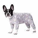 Dog Surgery Recovery Suit for Small Dogs, Four-Leg Long Sleeve