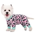 Dog Surgery Recovery Suit for Small Dogs, Four-Leg Long Sleeve