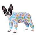 Dog Surgery Recovery Suit for Small Dogs, Four-Leg Long Sleeve