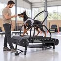 Dog Treadmill for Large Dogs with Foot Brake, 18-Inch Usable Width