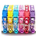 Dog Trust 3 Pieces Cat Collars -Exotic Sparkling Design, with Bell, Dog Trust Adjustable Strap, and Safety Release Buckle [Modern Design for Your Cute Cats, Puppies & Small Dogs- 3 Random Colors]
