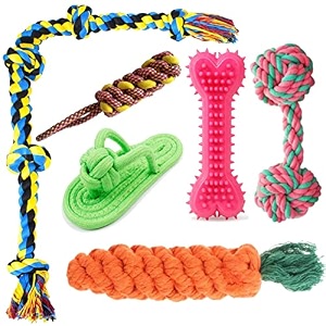 dog trust dog rope toys  tug of war rope toys  twisted rope chew set  pet ftech amp play set  chew hard spike bone for dog  twisted cotton play pack of 7 color may vary