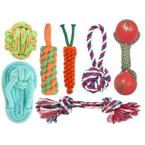 dog trust dog toys  dog chew toys  puppy teething toys  rope shape  pet play for small to medium dogs toy  tug of war  washable cotton rope for pets color may vary
