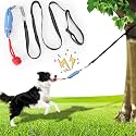 Dog tug of war Toy with Squeak,Interactive Dog Pull Toy from Tree to Keep Them Busy, Multifunctional Combination Tether tug Toy with chew Ball