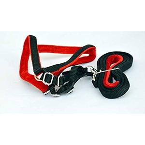 dogista pet products imported mukhmal harness set 075 color may vary small
