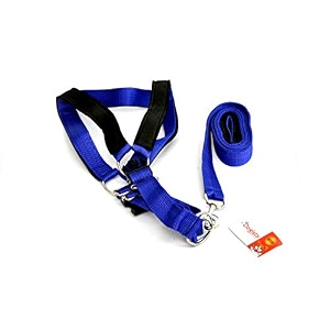 dogista pet products imported padded harness set 150 color may vary extra large