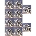 DOJI 30 Feet Long 36 LED String Lights | Power Pixel Fairy Lights for Room Decoration | Serial Rice led Lights for Room Decoration, Diwali, Christmas, Wedding, Party, Festival (White, Pack of 10)