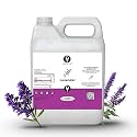 Dolce Flav Lavender Flavoring Oil for Chocolates, Restaurant Size, 32 Fl Oz