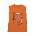 Dollar Champion Cotton Regular Fit T-Shirts for