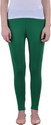 Dollar Missy Ethnic Wear Legging