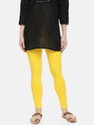 Dollar Missy Ethnic Wear Legging