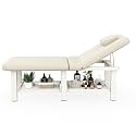 Dolonm 30.5in Wide × 75in Long Stationary Massage Table with Backrest and Storage Space, Metal Frame PU Leather for Treatment Table Physical Therapy Table Spa Facial Bed, Beige Gray - 6 Square Legs