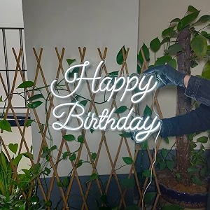 don39t judge me friendskart happy birthday neon signlights neon led light wedding birthday party home wall decor bar salon neon light signorative light for room bedroom party and bar white