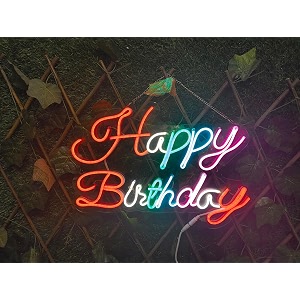 don39t judge me happy birthday neon signlights neon led light wedding birthday party home wall decor bar salon neon light signorative light for room bedroom party and bar multi-colour