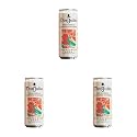 Don Julio Grapefruit Soda (Pack of 12 X 250 ML) – Tangy Citrus Flavoured Carbonated Soda | Refreshing Flavoured Fizzy Drink