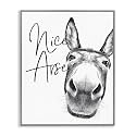 Donkey Bathroom Humor Comic, 24 x 30 Inch Framed Giclée Print