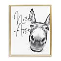 Donkey Bathroom Humor Comic, 25 x 31 Inch Canvas in Floater Frame