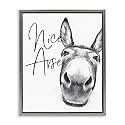 Donkey Bathroom Humor Comic, 25 x 31 Inch Canvas in Floater Frame