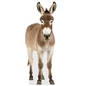 Donkey - Life Size Cardboard Cutout Standup People with Support Standee | Animals -