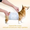 DONO Disposable Male Wraps Dog Diapers Super Absorbent Soft Male Dog Wraps, Including 4 Sizes, Extra Small, Small, Medium, Large, Pet Diapers Dogs Cats (Size: Medium, 10 Count)