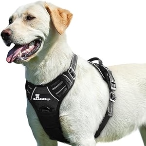 pet harness for small dogs puppy harness 3m night reflective oxford fabric 4 adjustable buckles chest girth min size 33 - max 63 cm chest belt for puppiessmall black