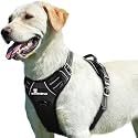 Pet Harness for Small Dogs, Puppy Harness, 3M Night Reflective, Oxford Fabric, 4 Adjustable Buckles, Chest Girth (Min Size 33 - Max 63 CM), Chest Belt for Puppies(Small) (Black)