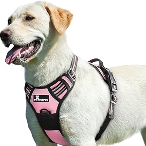premium reflective dog vest harness soft breathable padded handle adjustable straps amp luxury buckle no-choke with free leash pink large dog 23-35 kg harness only