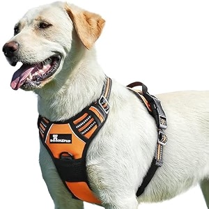 doolepup dog vest harness dogs body belt 3m night reflective oxford fabric 4 adjustable buckles chest girth min size 48- max 99 cmxl orange