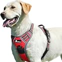 Premium Reflective Dog Vest Harness| Soft Breathable| Padded Handle| Adjustable Straps &amp; Luxury Buckle| No-Choke with Free Leash (BLACK, Small Dog 4-13 kg Harness With Leash)