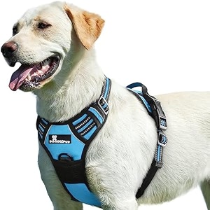 dog body belt for large dogs -labrador dog belt -3m night reflective strip - oxford fabric - 4 adjustable buckles - chest girth min size 38 - max 90 cmlarge blue