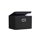 DOUBLE R BAGS Collapsible Storage Box with Lid (Black, 43x30x30 cm) | Large Odorless Oxford Fabric Storage Organizer Cube with Metal Handles for Office, Bedroom, Closet &amp; Kids Toys (Pack of 1)
