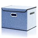 DOUBLE R BAGS Collapsible Storage Box with Lid (Royal Blue, 43x30x30 cm) | Large Odorless Oxford Fabric Storage Organizer Cube with Metal Handles for Office, Bedroom, Closet &amp; Kids Toys (Pack of 2)