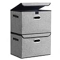 DOUBLE R BAGS Collapsible Storage Box with Lid (Grey, 43x30x30 cm) | Large Odorless Oxford Fabric Storage Organizer Cube with Metal Handles for Office, Bedroom, Closet &amp; Kids Toys (Pack of 2)
