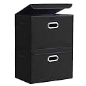 DOUBLE R BAGS Collapsible Storage Box with Lid (Black, 43x30x30 cm) | Large Odorless Oxford Fabric Storage Organizer Cube with Metal Handles for Office, Bedroom, Closet &amp; Kids Toys (Pack of 2)