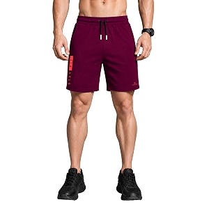 Dpassion Quick Dry Polyester Sport Shorts for