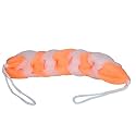 Dr Care Super Soft Bath Sponge Fluffy Puffy Loofah (Back Scrubber Orange)