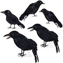 DR.DUDU 5 Pack Halloween Crows Decorations Fake Crow and Ravens